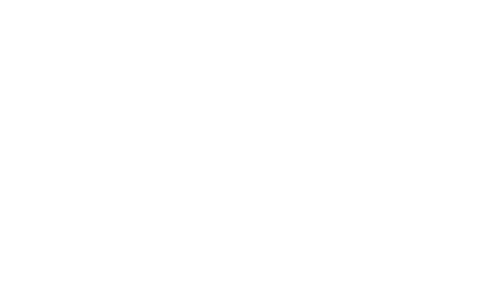 DynamiX Pro Services